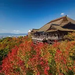 Kyomachiya Maiko-Miyakawasuji